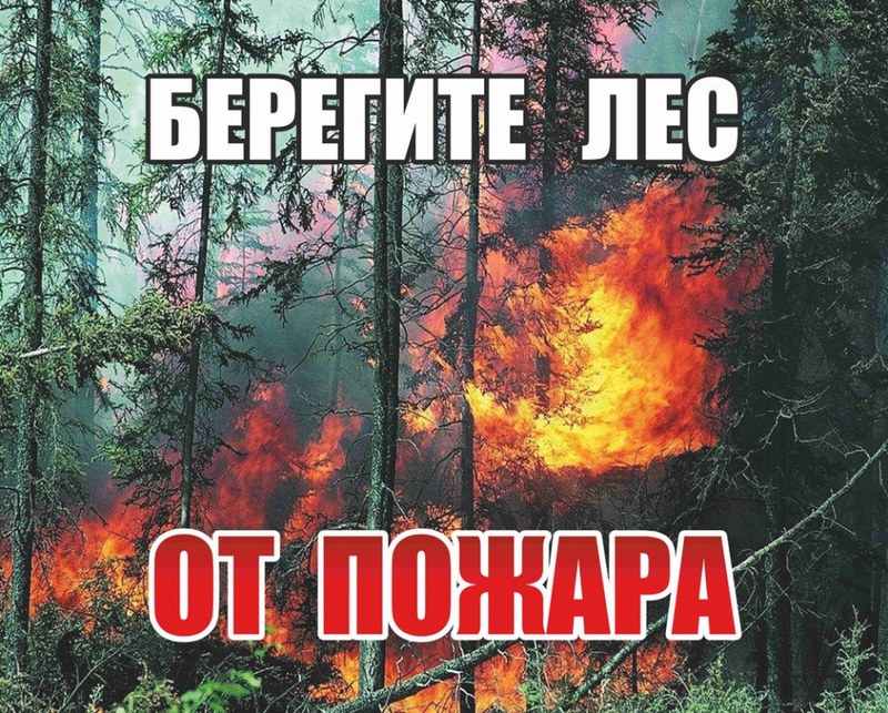 В Вольском районе Саратовской области произошел лесной пожар