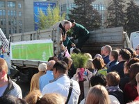 200 тысяч саженцев сосны раздали жителям Саратова в день Всероссийского экологического субботника