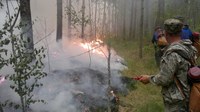 В Вольском и Базарно-Карабулакском районах горела трава в лесах