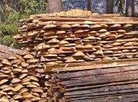 О заготовке гражданами  древесины для собственных нужд