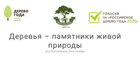 Исполняется 10 лет всероссийской программе «Деревья – памятники живой природы» 