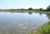 В Саратовской области впервые расчистят водохранилище реки Большой Узень
