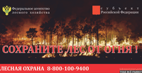 В лесах Саратовской области усилены меры пожарной безопасности