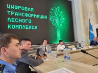 В Ульяновске обсудили вопросы цифровой трансформации лесного комплекса