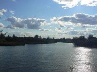 Причиной обмеления прудов на ручье Грязный стало жаркое лето