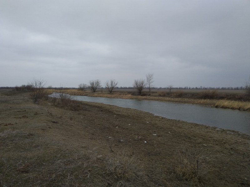 В Саратовской области в рамках нацпроекта расчищают русло реки Жидкая Солянка