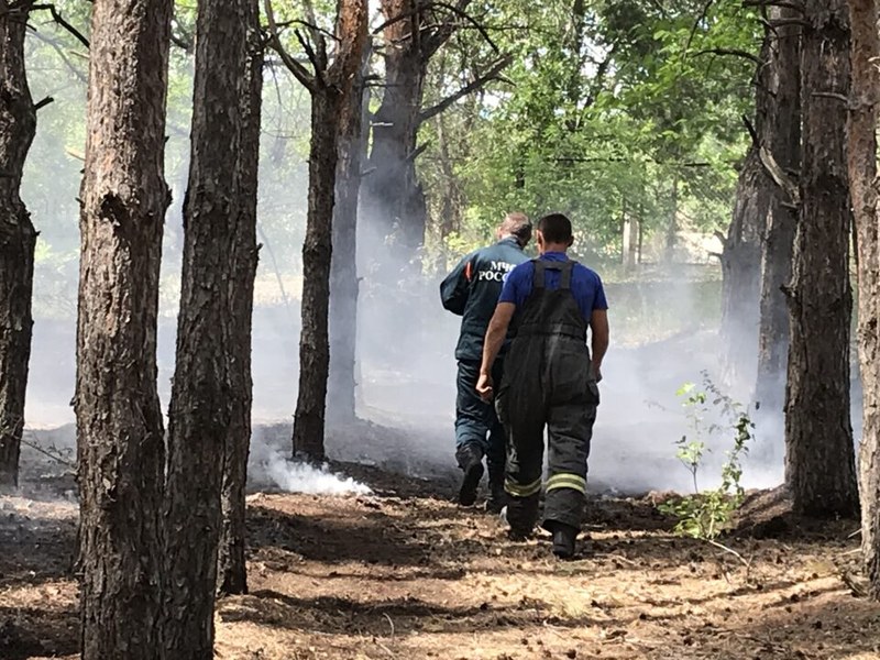 Сотрудники Заволжского лесхоза и сотрудники МЧС остановили пожар вблизи детского лагеря в Балаковском районе