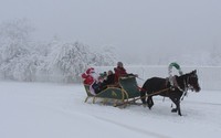 На Кумысной поляне в старый Новый год бесплатно катали на санях, запряженных лошадьми