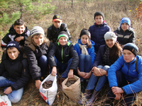 Школьники области собрали более 200 кг семян деревьев и кустарников
