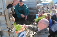 В Год экологии жители Саратовской области бесплатно получили от регионального минприроды около полумиллиона саженцев
