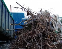 Вывоз растительных отходов приблизил поступления на саратовские МПС к рекорду